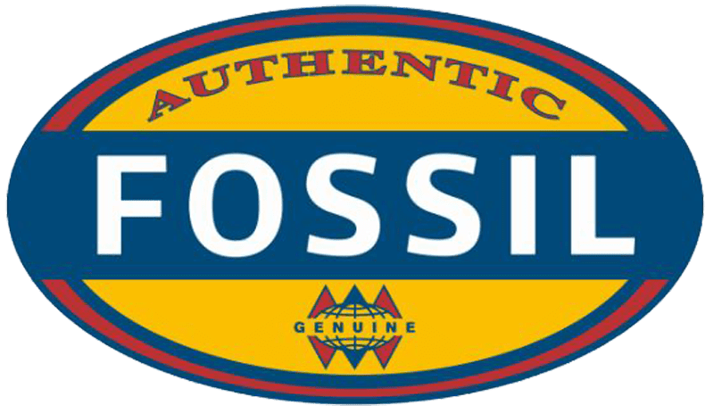 Fossil